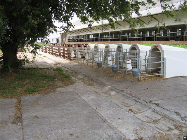 Troubelice 2006 030.jpg